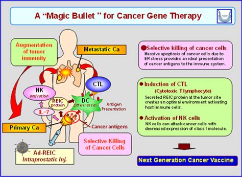 Liculndra Magic Bullet: A Novel Approach to Immunotherapy